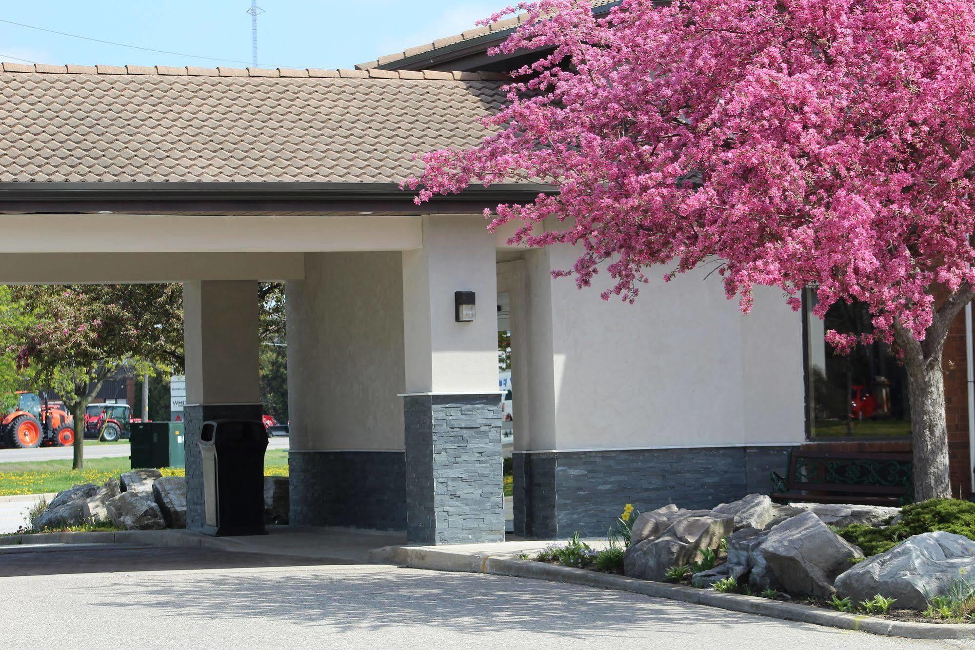 Comfort Inn Chatham-Kent Экстерьер фото
