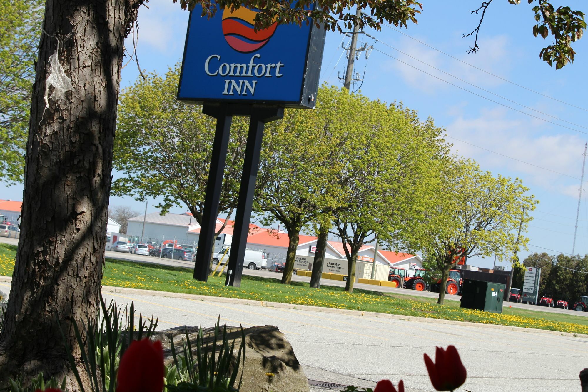 Comfort Inn Chatham-Kent Экстерьер фото