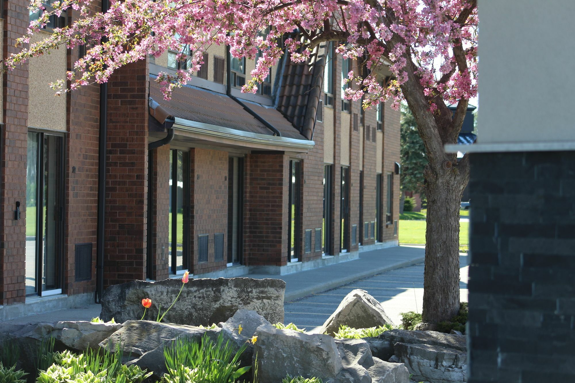 Comfort Inn Chatham-Kent Экстерьер фото